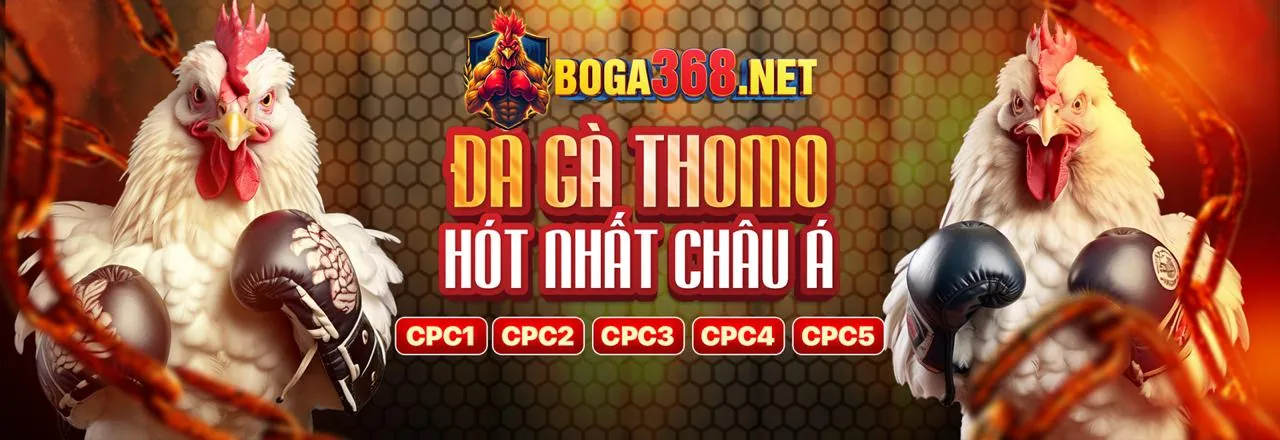 Các phương thức nạp tiền tại solarbet casino