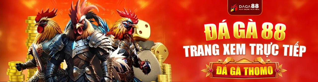 Tổng quan về cam kết GDPR của solarbet casino